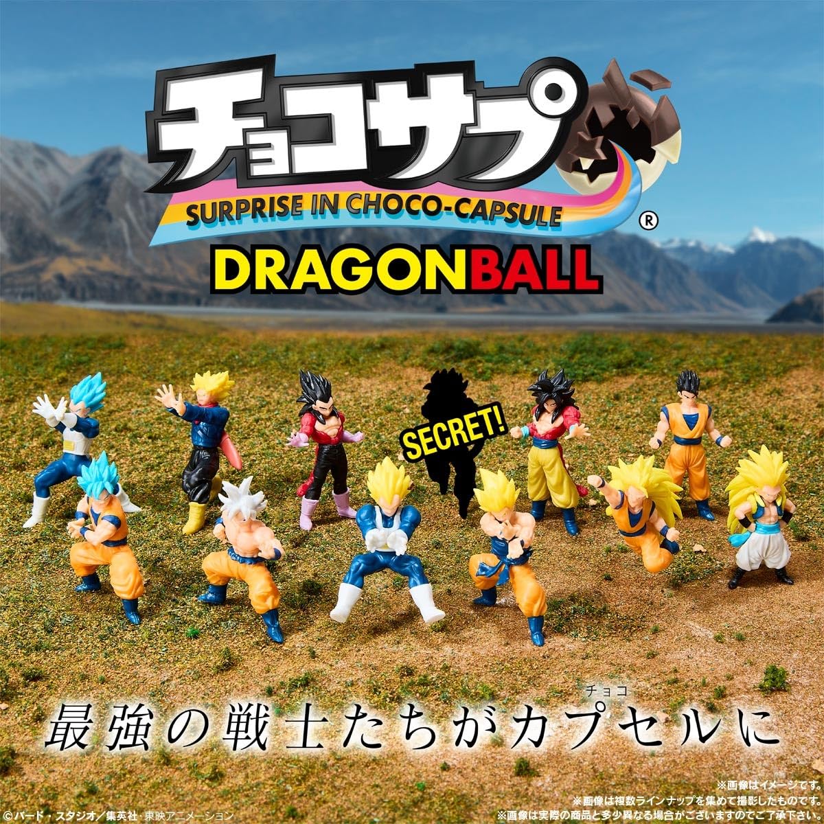 さーもん⭐︎プラカゴ２点 Amazon.co.jp: チョコサプ ドラゴンボール2 10個 BOX 食玩 : ホビー